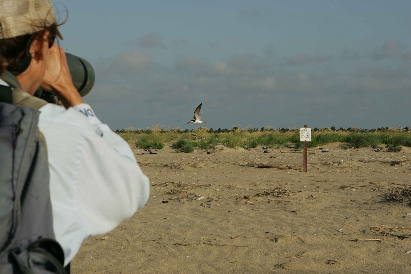 Wildlife photographer following a flying bird with a long lens