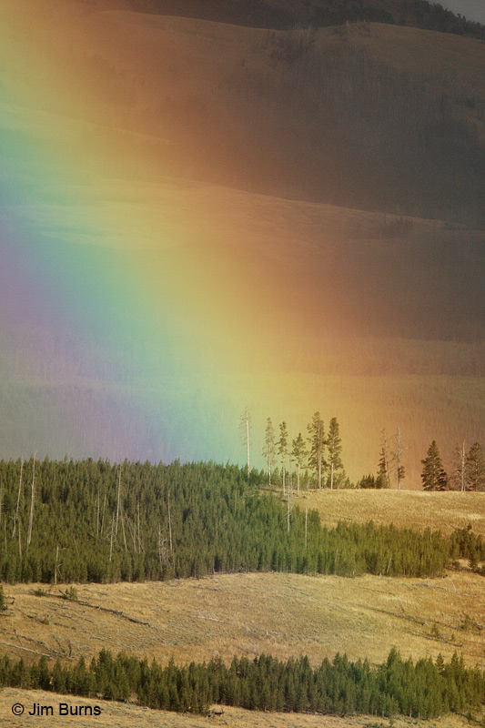 Dunraven Pass rainbow