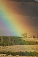 Dunraven Pass rainbow