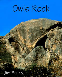 Owls Rock 2012