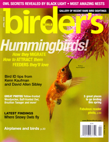 Birder's World April 2009